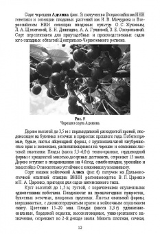 Константин Лактионов: Частное плодоводство. Косточковые культуры. Учебное пособие для СПО