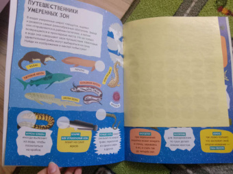 Сергей Петрушин: Детский атлас подводного мира с наклейками