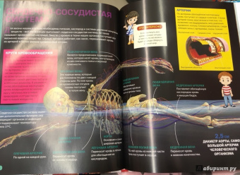 Детям о теле человека. Иллюстрированная энциклопедия
