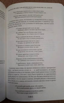 Тысяча и одна ночь. Книга 2. Ночи 271-719