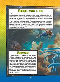 Ликсо, Кошевар: О подводном мире