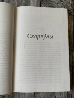 Михаил Елизаров: Скорлупы. Кубики