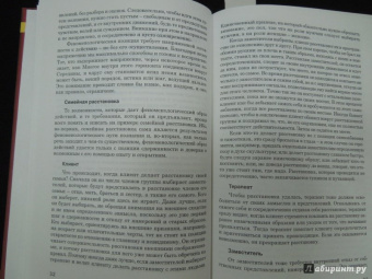 Гунтхард Вебер: Практика семейной расстановки. Системные решения по Берту Хеллингеру