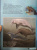 Чернецкий, Краснова: Где живут дельфины? И чего мы не знаем о самых общительных животных