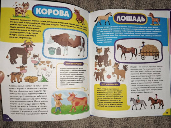 Анна Забирова: Животные для самых маленьких