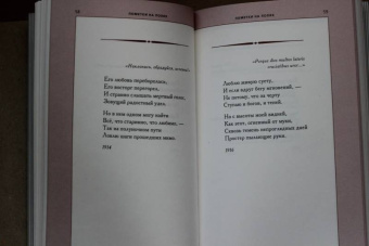 Владимир Шилейко: Пометки на полях. Стихи