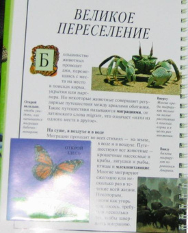 Тейлор, Поллок: Дискавери:  Царство животных