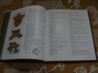 Клэр Гарланд: Лесные жители, связанные на спицах. 12 реалистичных игрушек