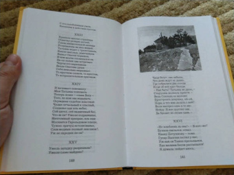 Пушкин, Лермонтов: Евгений Онегин. Герой нашего времени