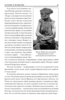 Андрей Низовский: 100 великих загадок древней истории