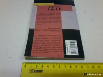 Иоганн Гете: Страдания юного Вертера