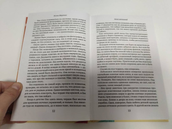 Холли Мартин: Лето мечтаний