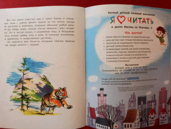 Александр Ткаченко: Тайга. Удивительный лес