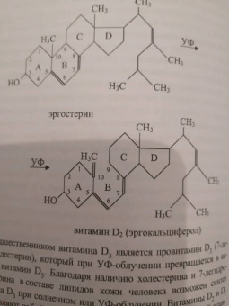 Осипова, Шустов: Биоорганическая химия