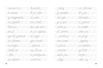 Светлана Чиркова: Тренажёр. Словарные слова. ФГОС ДО