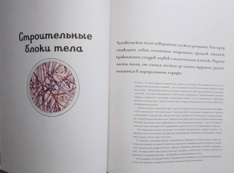 Дженнифер Пакстон: Анатомикум