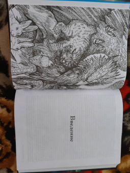 Мелисса Альварес: Как усилить свою энергию. 176 животных, которые станут вашими проводниками и хранителями