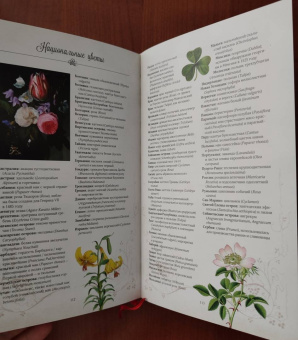 Дэвис, Сондерс: Тайный язык цветов