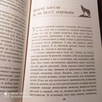 Петер Воллебен: Тайные связи в природе