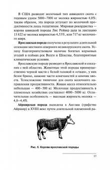 Николай Полянцев: Практикум по содержанию и эффективному использованию молочных коров. Учебное пособие для СПО
