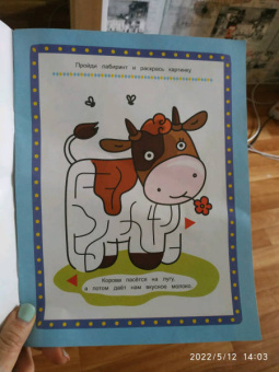 Цветной луг. Книжка-раскраска