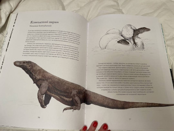 Бен Ротери: Тайны дикой природы