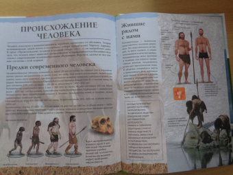 Третьякова, Ликсо, Кошевар: Планета Земля