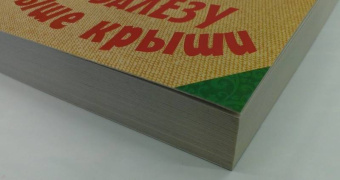 Татьяна Луганцева: Я залезу выше крыши