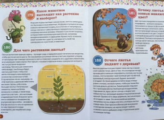 Тамара Скиба: Детская энциклопедия. Всё про всё