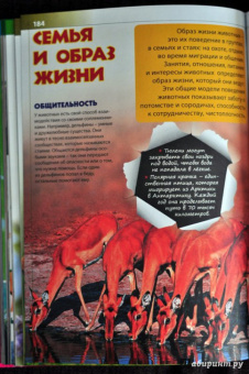 Новая детская энциклопедия