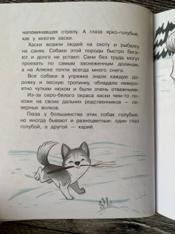 Вероника Медведева: Малыш Лаки учится дружить. Истории об эмоциях