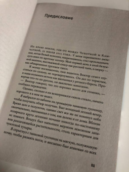 Пол Стейнхардт: Невозможность второго рода. Невероятные поиски новой формы вещества