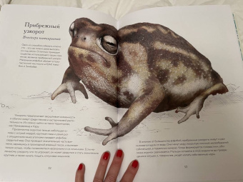 Бен Ротери: Тайны дикой природы