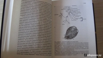 Ник Лейн: Вопрос жизни