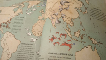 Паола Гримальди: Гигантский атлас животных мира