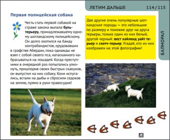 Ирина Новаш: Шотландия. Путеводитель для детей и их родителей