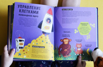 Тим Кеннингтон: Его величество мозг. Все самое интересное о работе мозга людей, животных и роботов