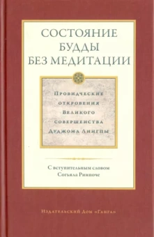Дуджом Лингпа: Состояние будды без медитации. Провидческие откровения Великого совершенства Дуджома Лингпы. Том II