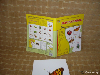Цветкова, Шорыгина: Демонстрационные картинки "Насекомые" (16 картинок)