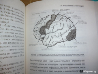 Чопра, Танзи: Совершенный мозг