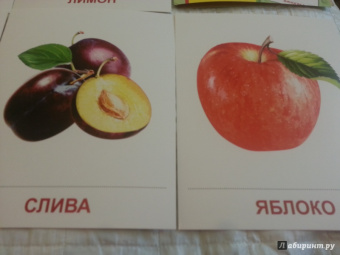 Т. Цветкова: Демонстрационные картинки Фрукты, 16 картинок