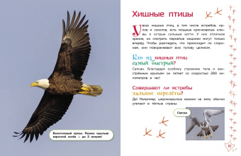 Животные. Большая детская энциклопедия