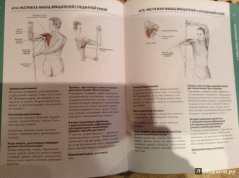 Анатомия стретчинга. Большая иллюстрированная энциклопедия