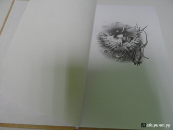 Карлос Кастанеда: Искусство сновидения