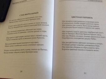 Константин Бальмонт: Птицы в воздухе