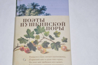 Баратынский, Дельвиг, Вяземский: Поэты пушкинской поры