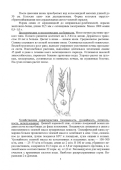 Ториков, Белоус: Практикум по луговому кормопроизводству. Учебное пособие