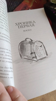 Хиро Арикава: Хроники странствующего кота