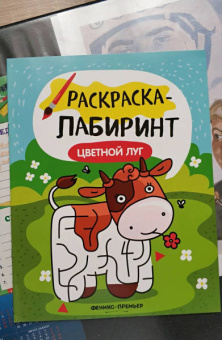 Цветной луг. Книжка-раскраска