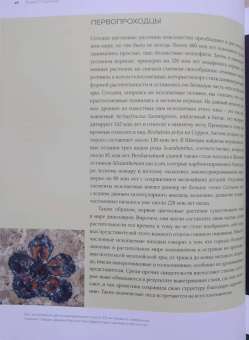 Бруно Кремер: Цветы. Естественная история